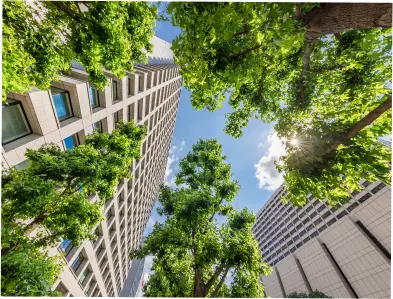 Smart Cities For A Greener Tomorrow