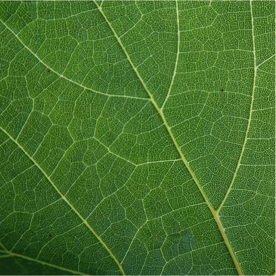 ESG Targets & Progress